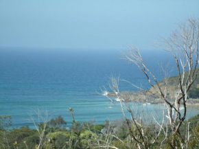 Benji's By The Sea, Scotts Head